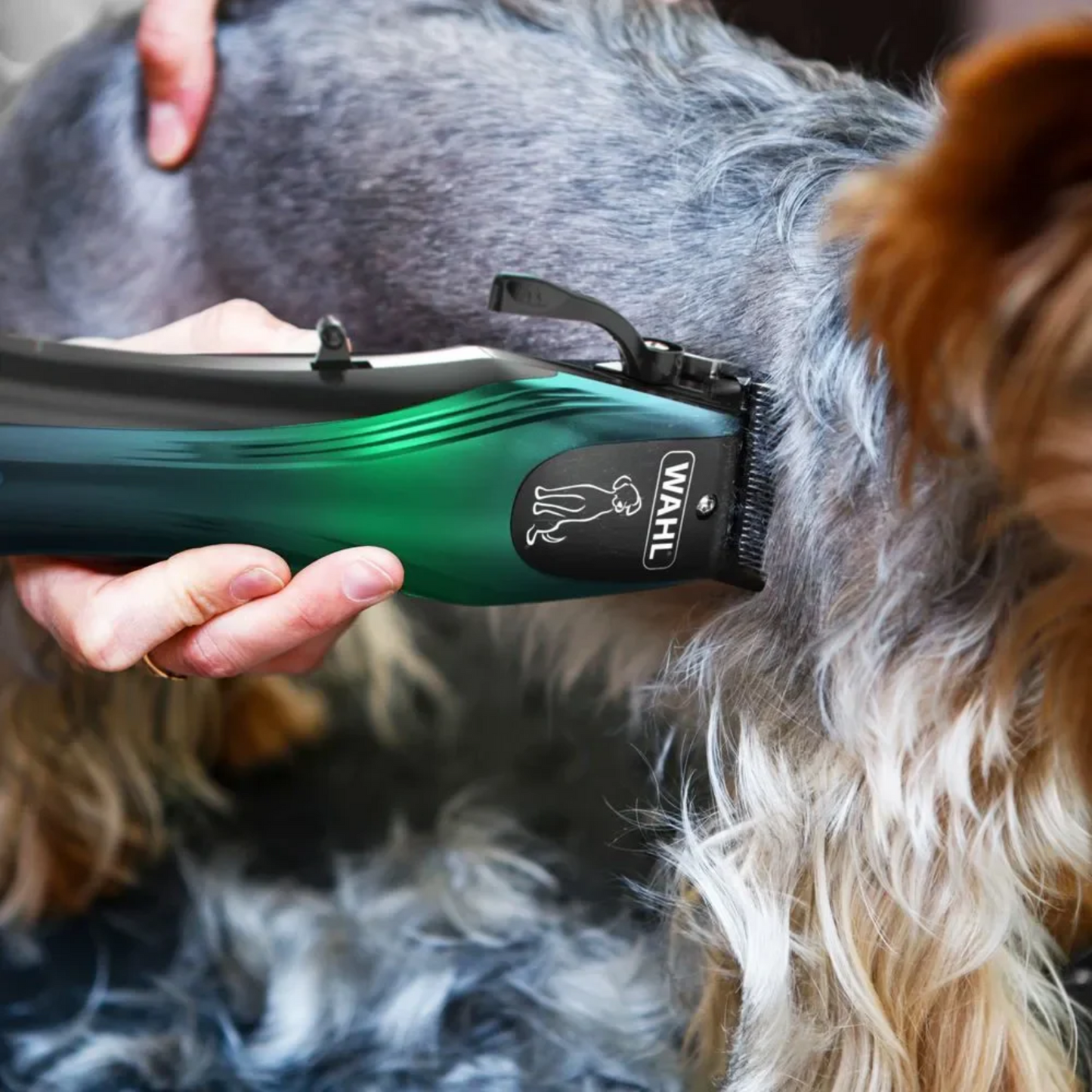 Clipper para Mascotas Inalámbrica Groom lite Wahl